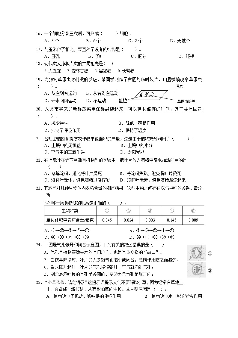 人教版七年级上册生物期末试题02