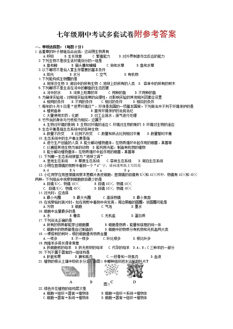 新人教版七年级生物上册期中考试卷及答案集第1页