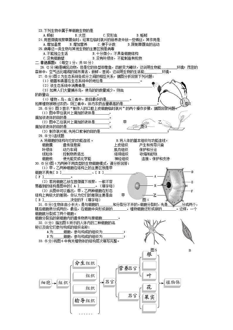 新人教版七年级生物上册期中考试卷及答案集第2页