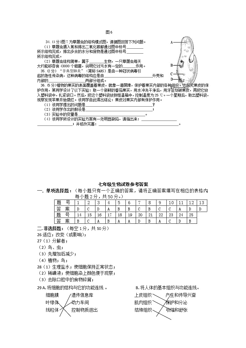 新人教版七年级生物上册期中考试卷及答案集第3页