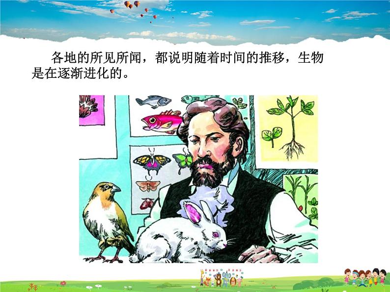 生物进化的原因PPT课件免费下载08