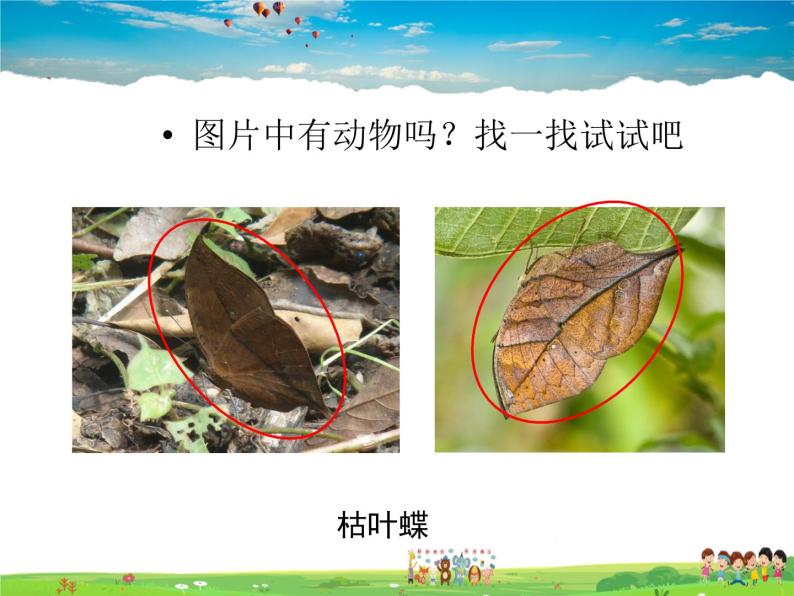 生物对环境的适应与影响PPT课件免费下载04