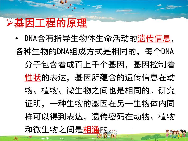 基因工程PPT课件免费下载02