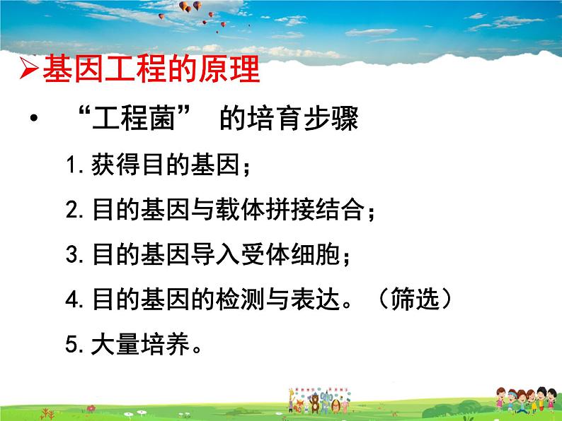 基因工程PPT课件免费下载04