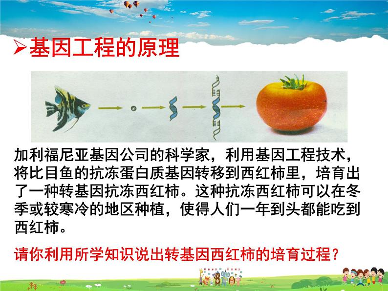 基因工程PPT课件免费下载07