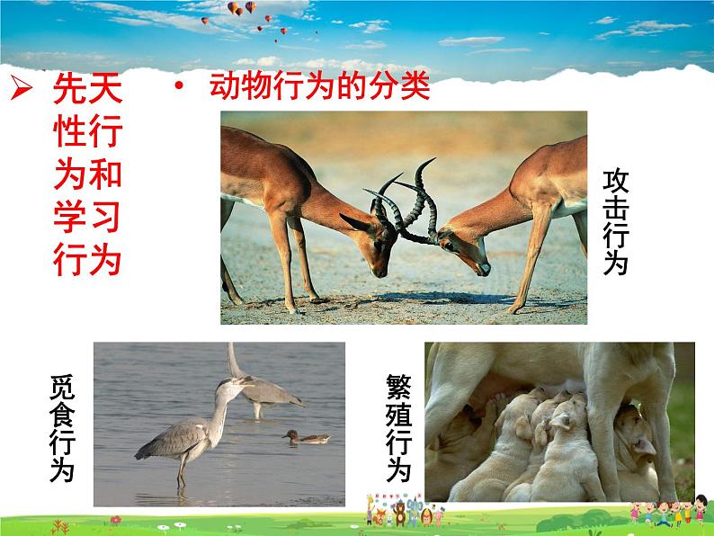 济南版生物七年级上册 2.2.4 动物的行为【课件】第2页