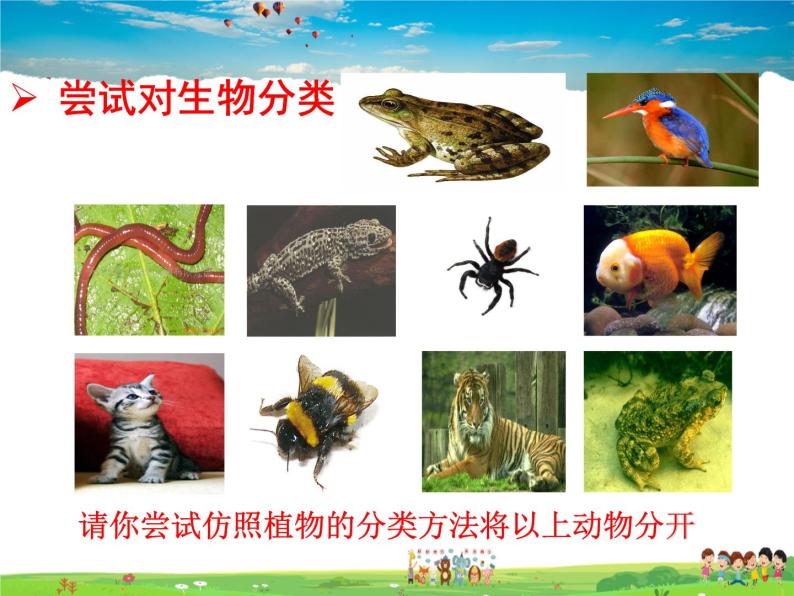 济南版生物七年级上册  2.4.1  生物的分类方法【课件】05