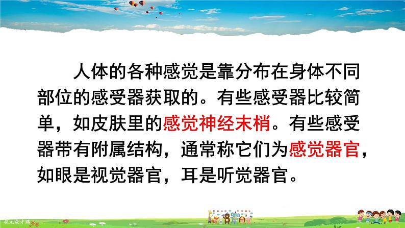 第六章 人体生命活动的调节 人体对外界环境的感知 第1课时 眼和视觉课件PPT05