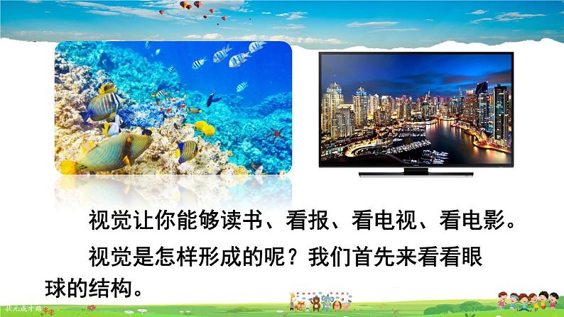 第六章 人体生命活动的调节 人体对外界环境的感知 第1课时 眼和视觉课件PPT06