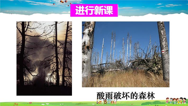 第七章 人类活动对生物圈的影响 第二节 探究环境污染对生物的影响课件PPT03