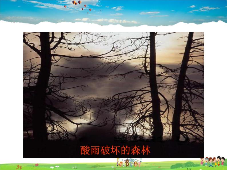 人教版生物七年级下册  4.7.2探究环境污染对生物的影响【课件】04