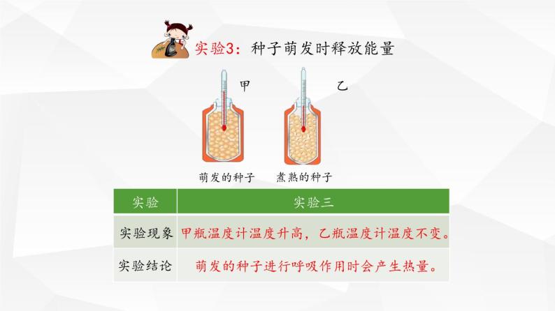 绿色植物的呼吸作用PPT课件免费下载08