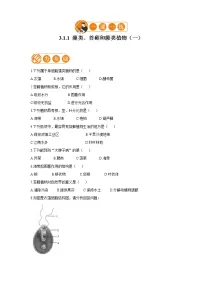 初中生物人教版 (新课标)七年级上册第一节 藻类、苔藓和蕨类植物课时训练