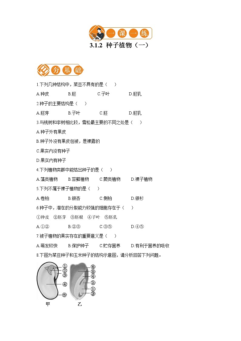3.1.2 种子植物 一课一练(一) 初中生物人教版七年级上册(2021年)第1页