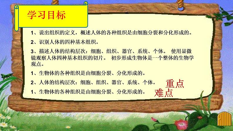 2.2.2 动物体的结构层次 课件 初中生物人教版 七年级上册(2021年)第2页