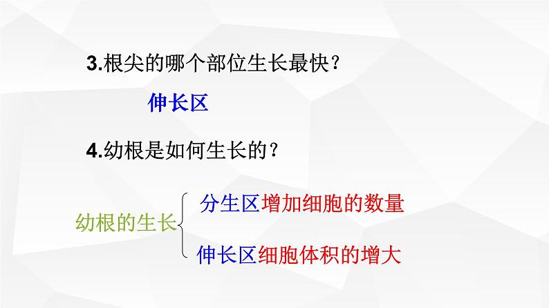 3.2.2 植株的生长 课件 初中生物人教版 七年级上册(2021年)第8页