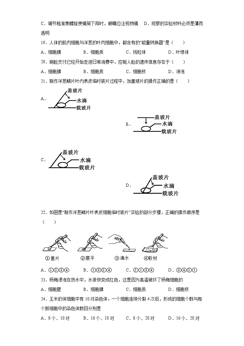 广东省揭阳市揭东区2021-2022学年七年级上学期期中生物试题(word版含答案)第3页
