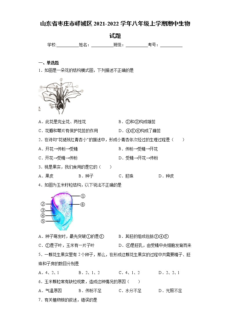 山东省枣庄市峄城区2021-2022学年八年级上学期期中生物试题(word版含答案)第1页