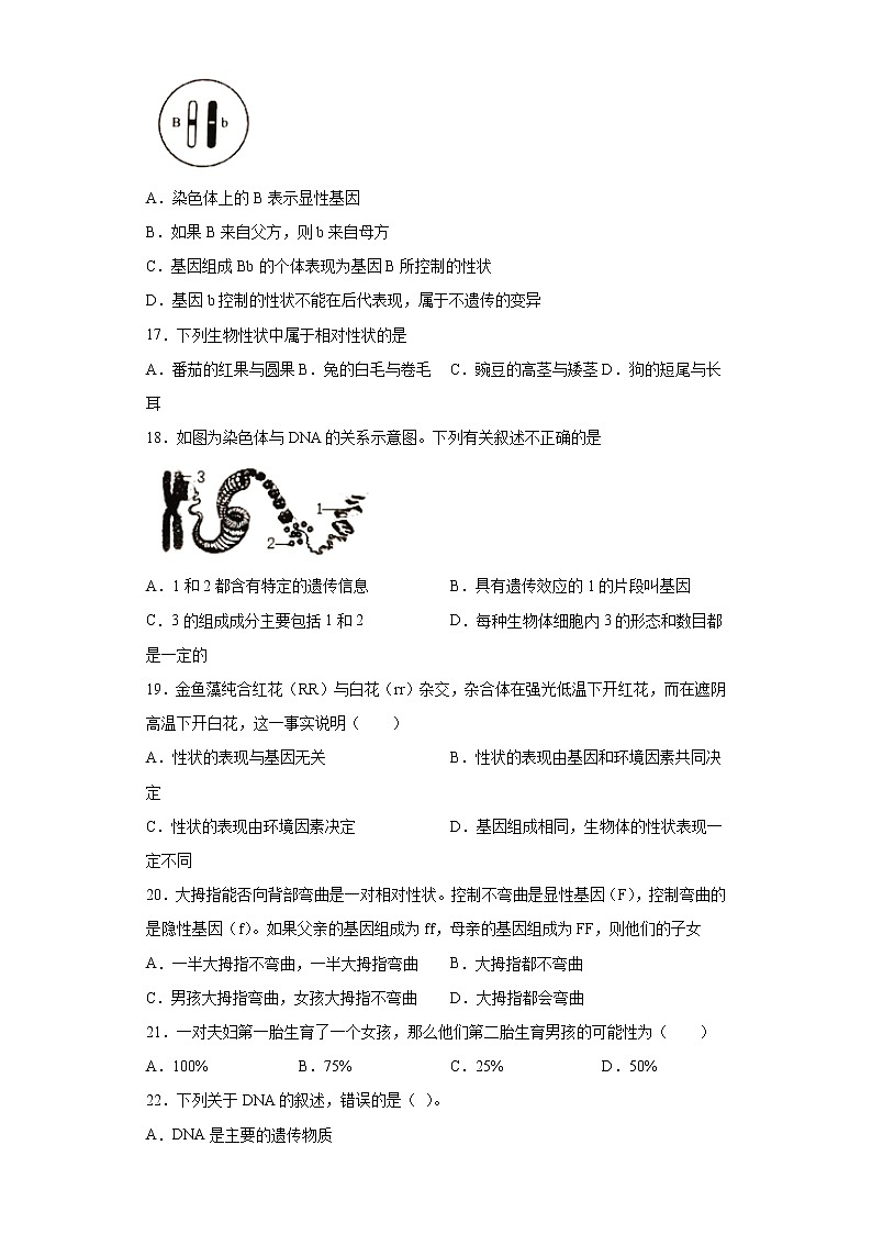 山东省枣庄市峄城区2021-2022学年八年级上学期期中生物试题(word版含答案)第3页