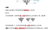 苏教版第二节 植物的有性生殖学案设计