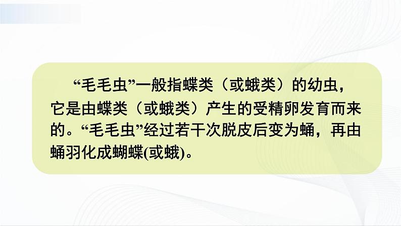 第二节 昆虫的生殖和发育 课件第4页