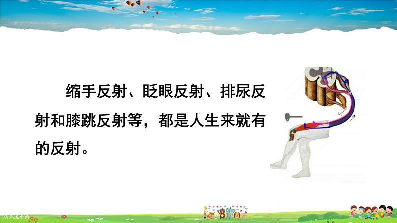 第六章 人体生命活动的调节的基本方式 第2课时 简单反射和复杂反射课件PPT第4页