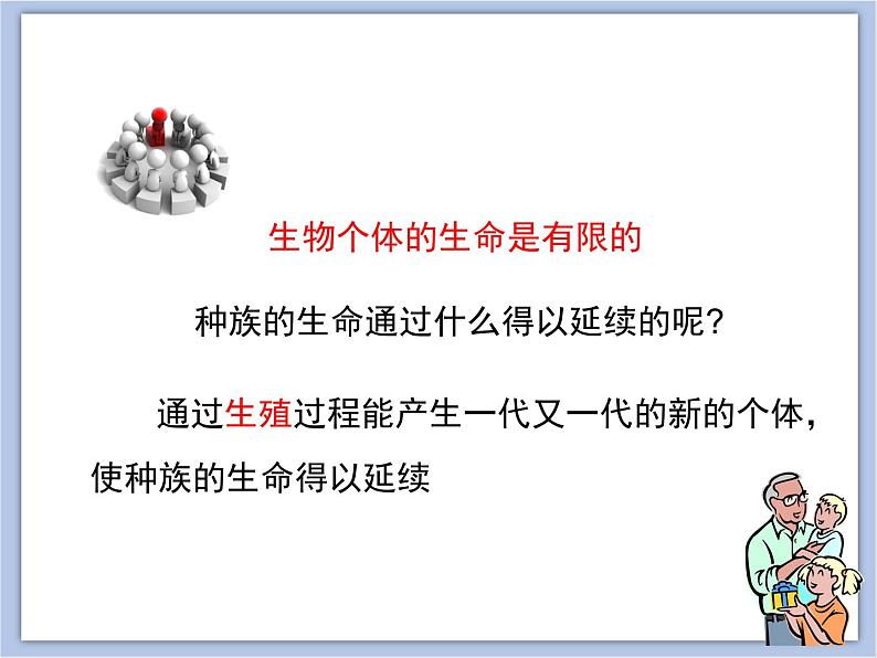 《精卵结合孕育新的生命》第1课时优教课件第5页