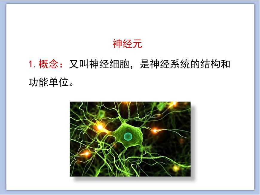 《人體的神經(jīng)調(diào)節(jié)》第一課時(shí)講授課件第6頁(yè)
