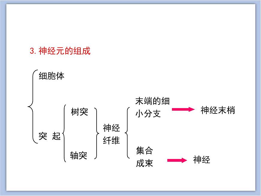 《人體的神經(jīng)調(diào)節(jié)》第一課時(shí)講授課件第8頁(yè)