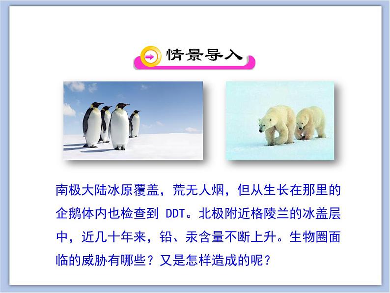 《关注生物圈—环境在恶化》 课件PPT02
