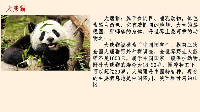 我国的动物资源及保护PPT课件免费下载05