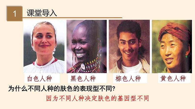 20.6 遗传病和人类健康 课件 初中生物北师大版 八年级上册(2021年)第2页