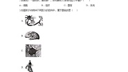 初中生物北师大版七年级上册第2节 生物体的器官、系统同步练习题
