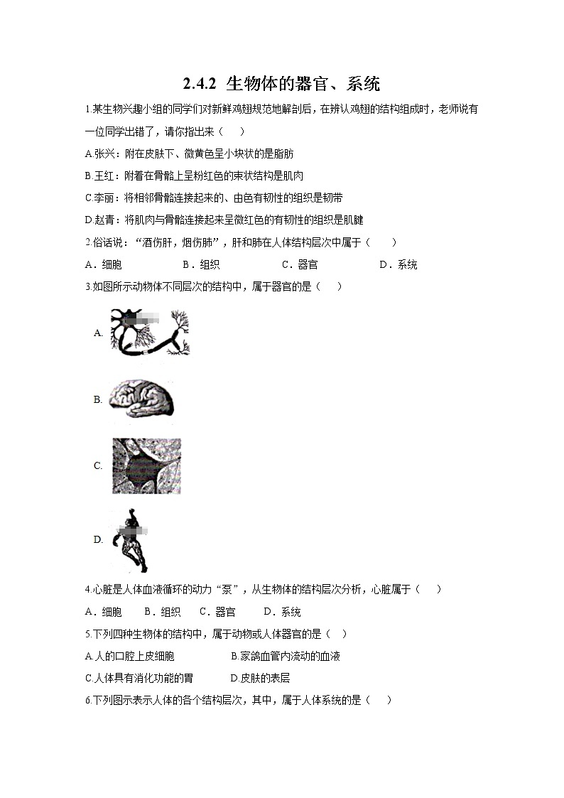 _2.4.2 生物体的器官、系统 同步练习 初中生物北师大版 七年级上册（2021年）01