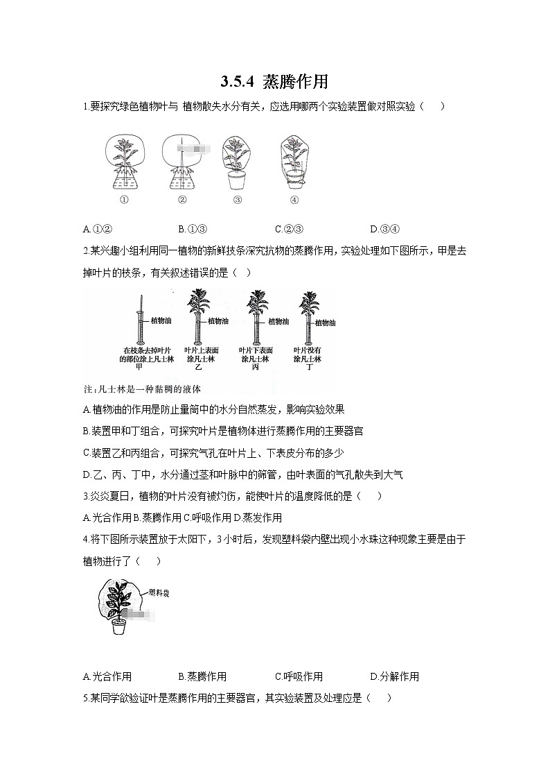 _3.5.4 蒸腾作用 同步练习 初中生物北师大版 七年级上册(2021年)第1页