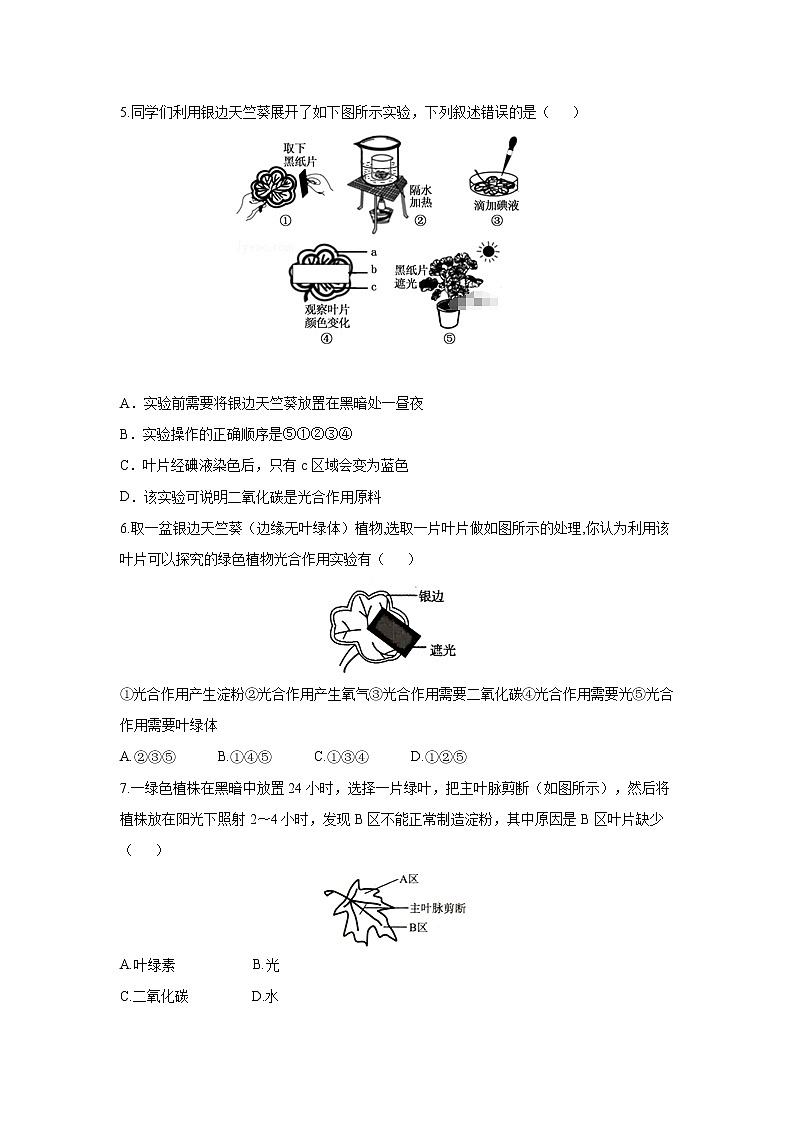 _3.5.1 光合作用 同步练习 初中生物北师大版 七年级上册(2021年)02