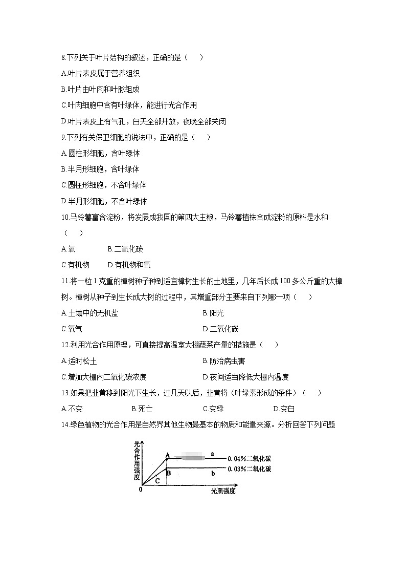 _3.5.1 光合作用 同步练习 初中生物北师大版 七年级上册(2021年)03