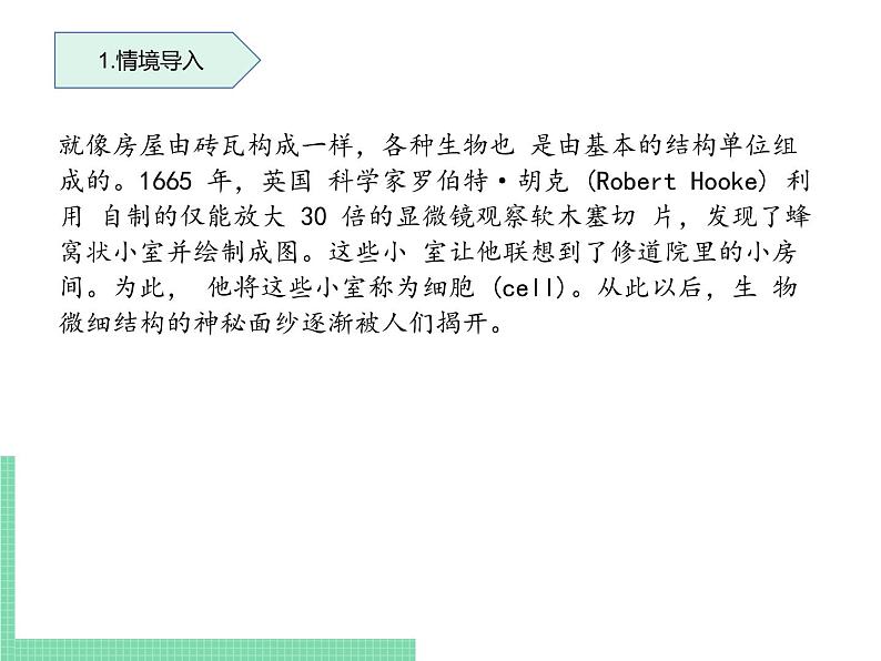 细胞的结构和功能PPT课件免费下载02