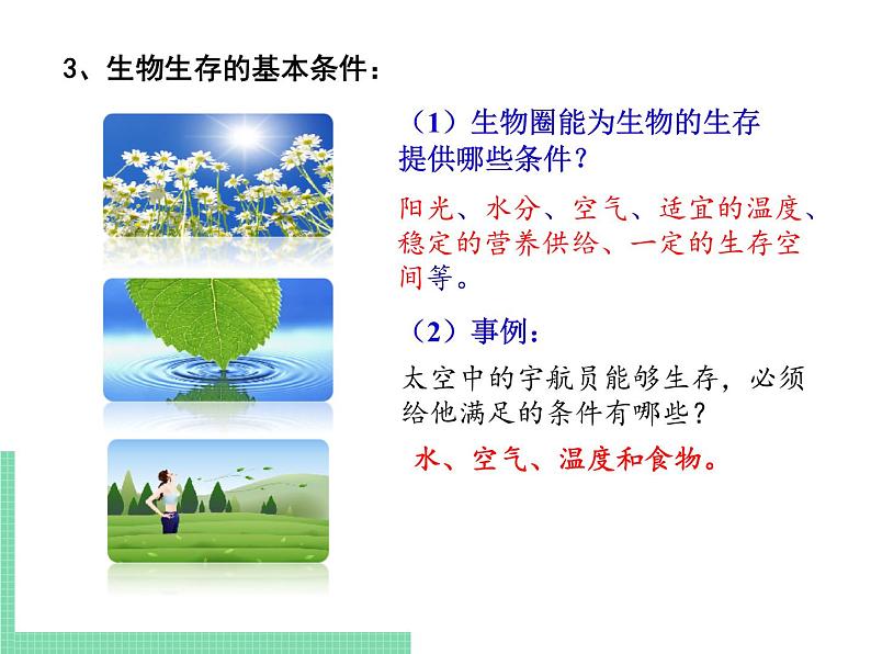 生物的生活环境PPT课件免费下载06