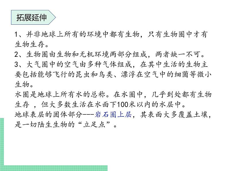 生物的生活环境PPT课件免费下载07