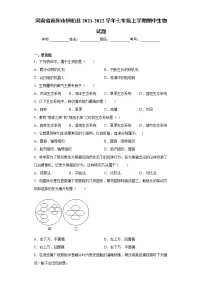河南省南阳市桐柏县2021-2022学年七年级上学期期中生物试题（word版 含答案）