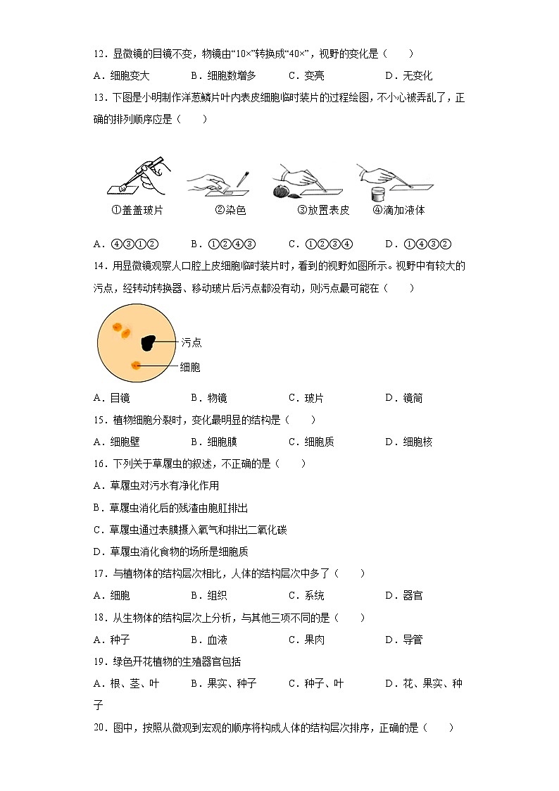 河南省许昌市襄城县2021-2022学年七年级上学期期中生物试题(word版 含答案)03