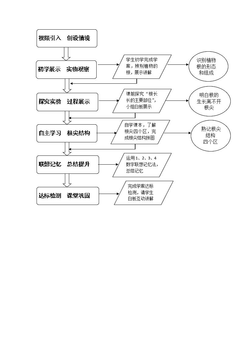 2021-2022学年初中生物 济南版 八年级上册 4.1.5 根的结构与功能 同步教案02
