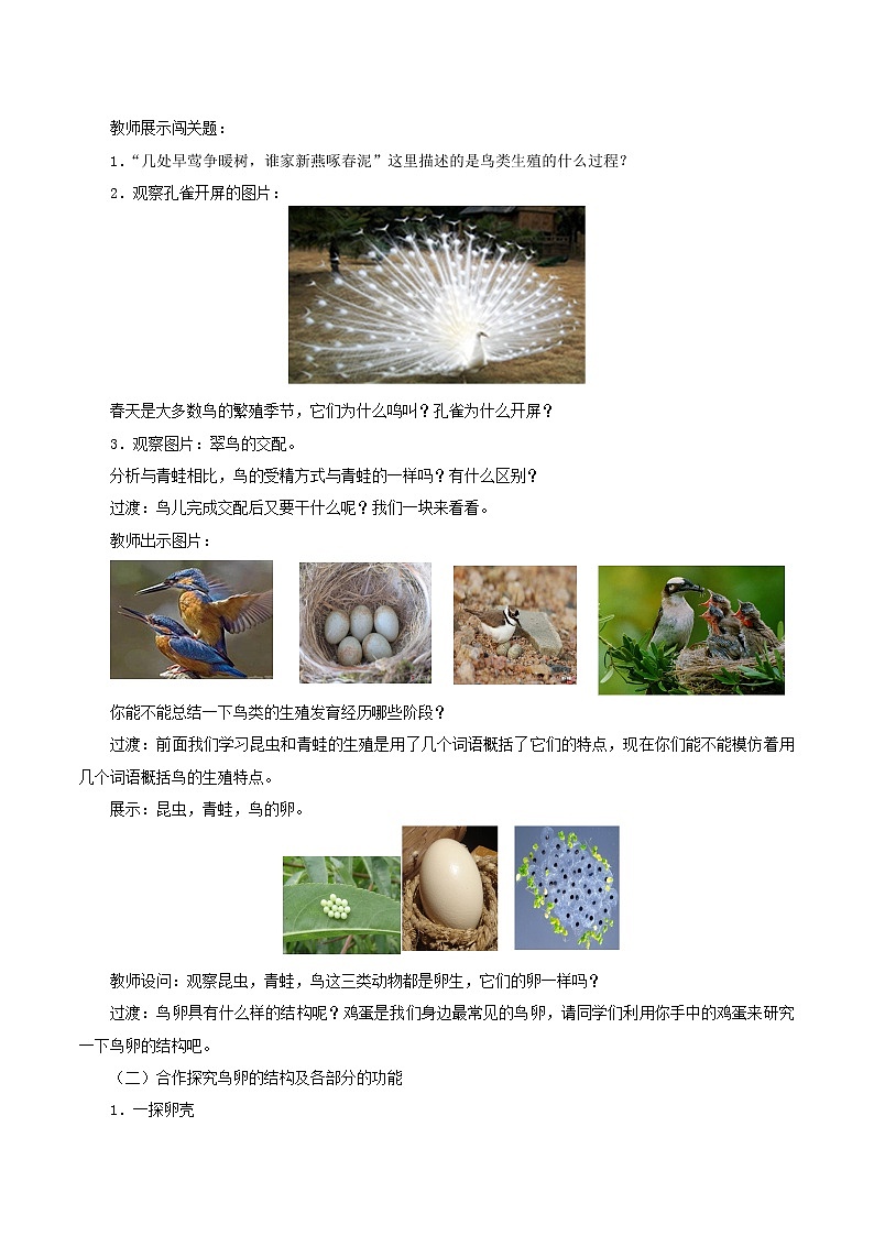 2021-2022学年初中生物 济南版 八年级上册 4.2.3 鸟的生殖和发育 同步教案第3页