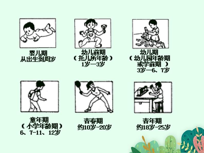 青春期发育PPT课件免费下载02