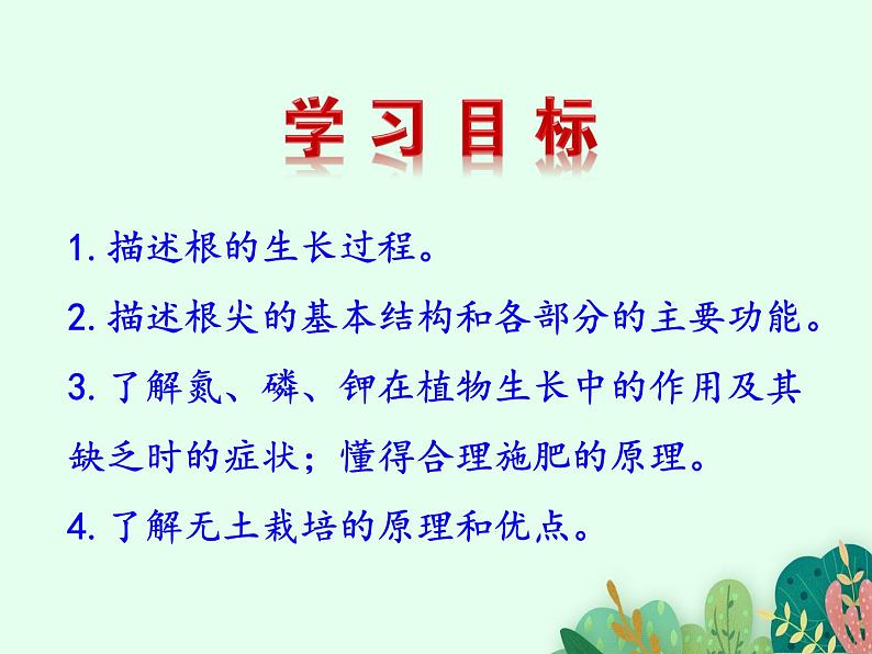 根的结构与功能PPT课件免费下载02