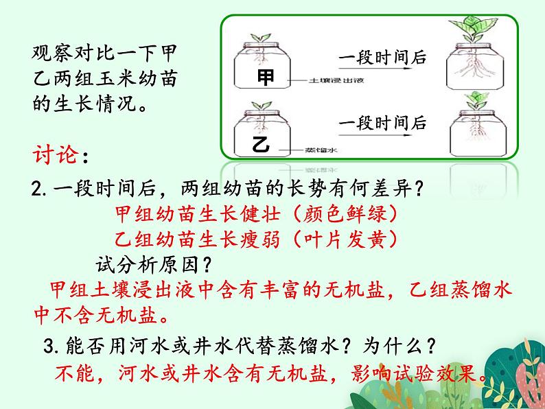 根的结构与功能PPT课件免费下载07