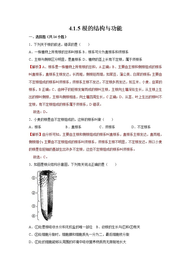 2021-2022学年初中生物济南版 八年级上册 4.1.5 根的结构与功能 同步练习第1页