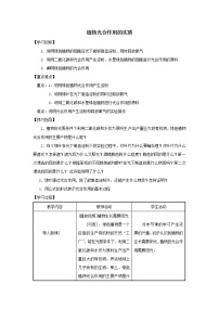 初中生物苏教版七年级上册第三节 植物光合作用的实质教案及反思