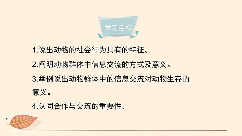 7.2.3 社会行为 课件 初中生物鲁科版(五四制) 八年级上册(2021年)04